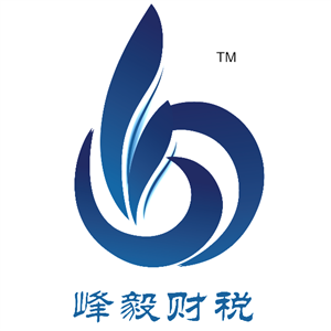 財(cái)務(wù)咨詢(xún) 企業(yè)穩(wěn)健發(fā)展的智慧導(dǎo)航