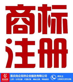 渝中代理記賬 向企而創(chuàng)，在線咨詢(xún)助力企業(yè)財(cái)務(wù)無(wú)憂